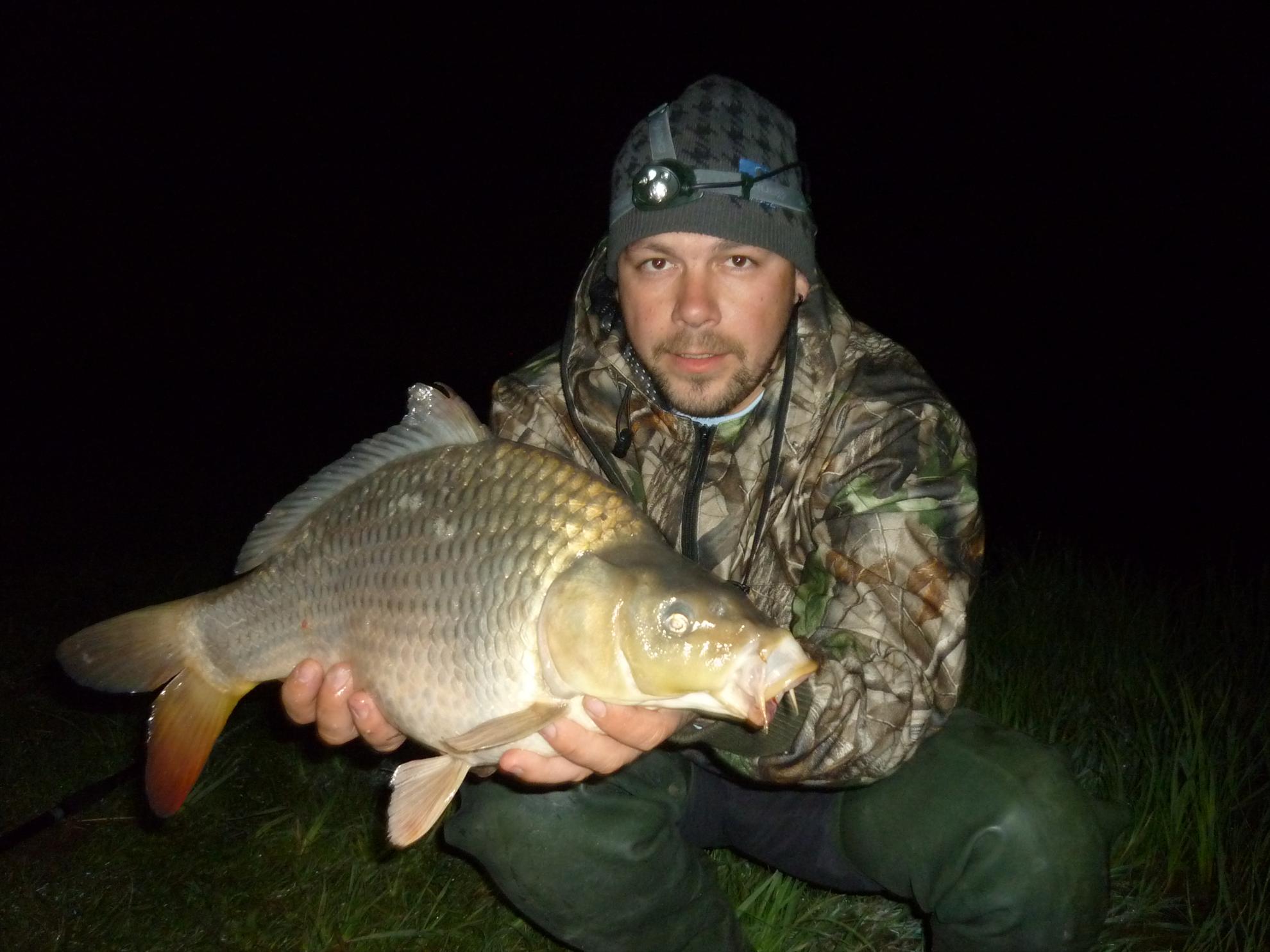 Stejeris 2011 - p1010940.JPG